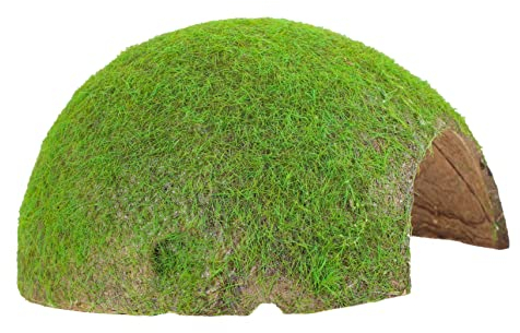 BESPORTBLE Terrarium Dekoration Für Reptilien Moss Cave Und Basking Platform Für Schildkröten Echsen Und Geckos Für Lebendige Terrariengestaltung Leicht Und Installieren