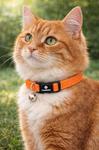 Collier Chat - Elza Orange 20–34 cm – Nylon élastique réfléchissant avec Clochette