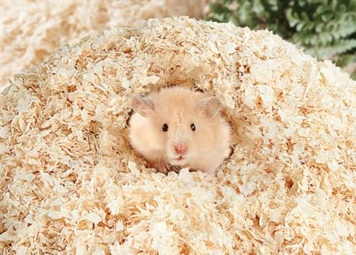 Fuwok Sciure de bois pour hamsters, petits animaux, copeaux de bois de lapin, literie pour hamster, chinchilla, reptile, chinchilla, petit animal, etc