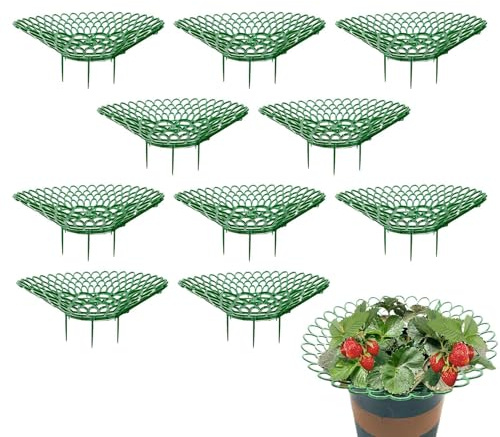 Soporte para plantas de fresa - Estante de soporte elevado, soporte para frutas, marco de jardín | 10 piezas Reutilizables para Balcón, Jardinería en cama elevada, estante de cultivo de fresas para