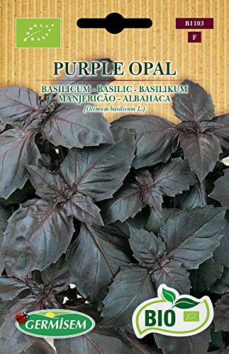 Germisem Orgánica Purple Opal Semillas de Albahaca 2 g