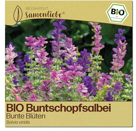 Samenliebe BIO Buntschopfsalbei Samen | Salbei - Schopfsalbei - bunte Blüten - samenfestes BIO Saatgut