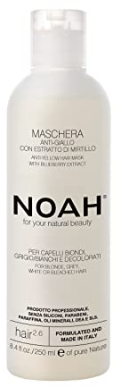 Noah Natürliche Anti-Gelb-Haarmaske 2.6 mit Blaubeerextrakt für blondes, graues, weißes oder gebleichtes Haar – glänzendes, revitalisierendes, vegan, tierversuchsfrei, pflanzliche Formel, 250 ml