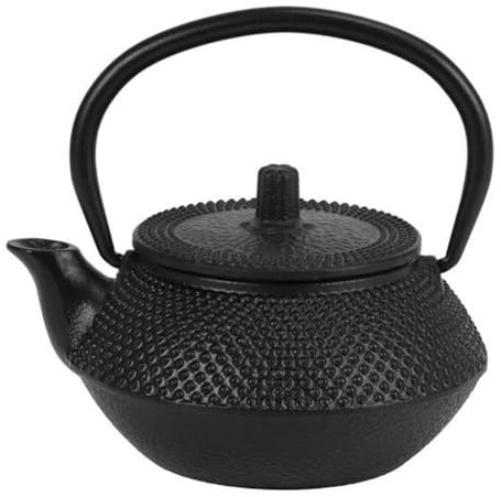Veciado Tetera de Hierro con Infusor de Acero Inoxidable, Tetera de Hierro JaponéS Fundido, Tetera Oolong Tea Puer, Tetera de 300ML
