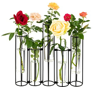 Glass Test Tubes Vase with Stand for Flowers, Black Hinged Bud Vase with Metal Stand Racks Hydroponic Set of 5, Adjustable Pipe Plant Vases Display Set for Table Centerpieces Wedding Decoration