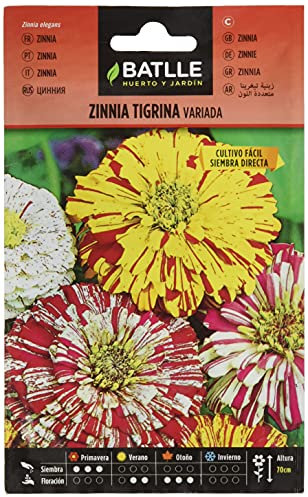 Semillas Batlle Zinnia TIGRINA variada
