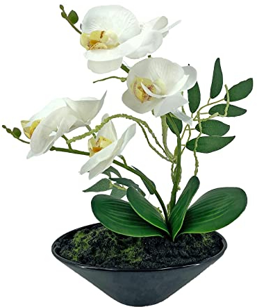 NTK-Collection Kunstblume Orchidee in Schale Leilani Kunstpflanze Dekoration Orchidee