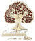 BOFUNX Libro Firmas Boda de Visitas para Invitados en Árbol de la Vida+81pcs Hojas Madera y Corazón+Bolsa de Organza+Letreo Guest Book Regalo Original Decorazón Fiesta Boda Cumpleaños Baby Shower