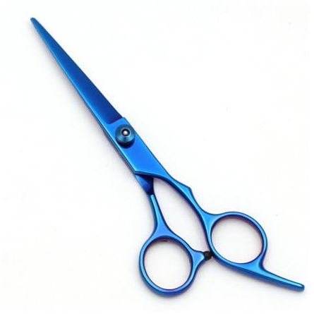 Hair Scissors Hairdressing 6 Haircut Set Thinning Shears Razor Combs C1001(C1001 Lan-C 6N)