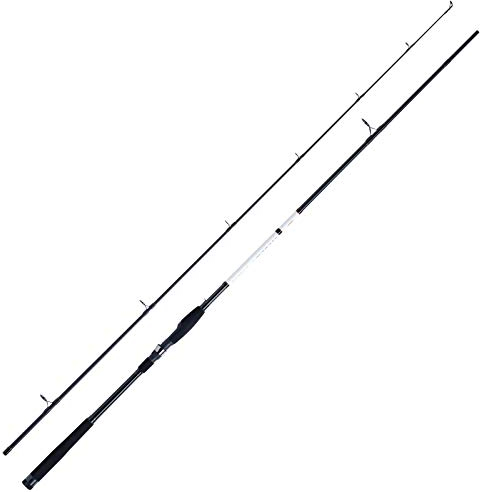 WFT XK Bone Pro Shad 2,70m 8-44g