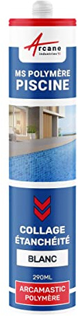 Polymer-Pool-Dichtungsmittel/Klebstoff: ARCAMASTIC POLYMER POOL Weiß - 290 ml x 1