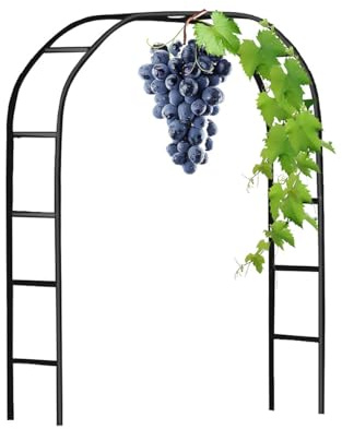 Arco de jardín de metal Pera – Árbol de boda galvanizado para plantas trepadoras – Soporte resistente, disponible en 120 cm, 140 cm, 180 cm, 200 cm, 240 cm, 280 cm (negro, 2,80 x 2,50 m)