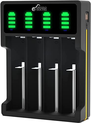 Pickle Power 18650 Caricabatterie, 4 slot LED Intelligente Caricatore universale per 18650 18490 17500 16340 (RCR123) 26650 25500 22650 Ni-mh/Ni-cd A AA AAA Batterie Ricaricabili