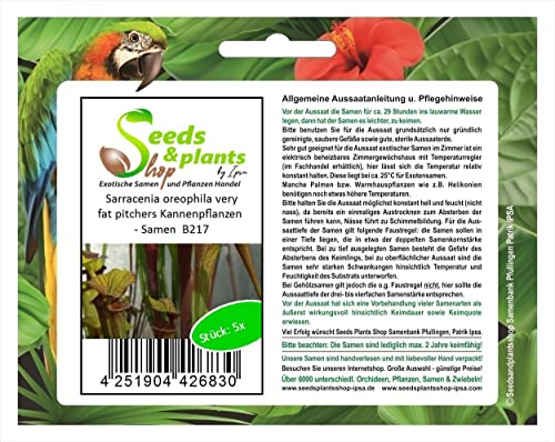 Stk - 5x Sarracenia oreophila very fat pitchers Kannenpflanzen - Samen B217 - Seeds & Plants Shop by Ipsa