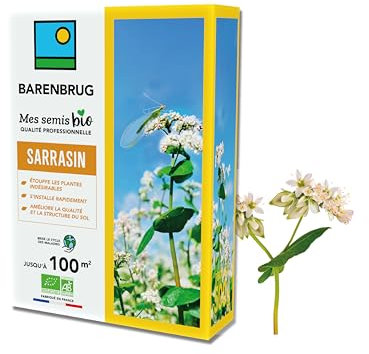 BARENBRUG - Sarrasin BIO - Étouffe les Plantes Indésirables - S’Installe Rapidement - Améliore la Qualité et la Structure du Sol - Brise le Cycle des Maladies - Fabriqué en France - 500G