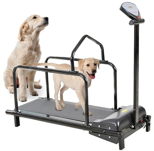 Husdjurs löpband inomhus med LCD-skärm för små hundar, stöder upp till 30 kg, kompakt design under 50 cm längd