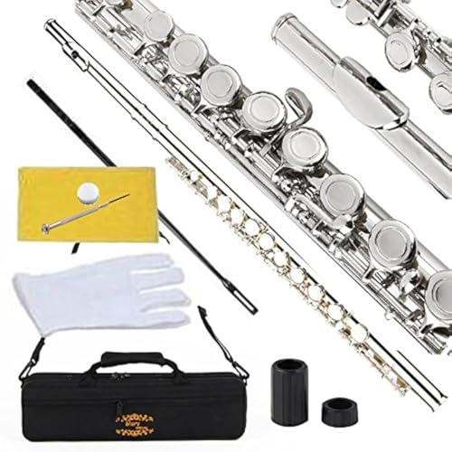 Glory Flûte traversière en Do à plateaux fermés avec étui, écouvillon, chiffon, graisse et gants Argenté nickel