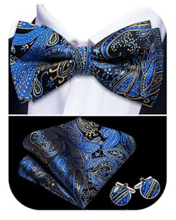 Barry.Wang Set papillon da uomo in seta Paisley pre-annodato con fazzoletto quadrato e gemelli per matrimoni ed eventi formali, Taglia unica