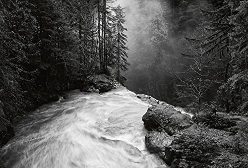 Fototapete Wald Nebel Fluss Natur Landschaft Schlafzimmer Wohnzimmer | 3,84 m x 2,6 m | Schwarz, Weiß, Grau