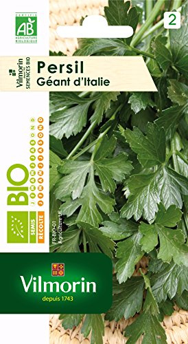 Vilmorin Persil Géant Vert