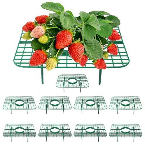 BEIUEN Soportes para Plantas de Fresa, Pack de 10, Soporte Cuadrado, Mantiene Las Fresas Fuera del Suelo, Reutilizable para huerto y jardín