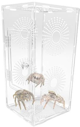 Recinto de araña, acrílico transparente, pequeño recinto de reptiles, terrario de transparencia completa, accesorios de alimentación segura para niños, adultos, niñas, familia y adolescentes