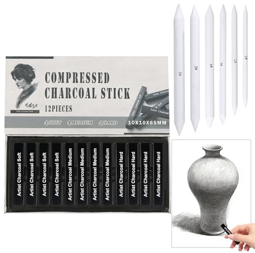 HFDONGL 12 Stück Zeichenkohle Kohlestifte zum Zeichnen Kohlestift mit 6 Papierwischer Kohlestifte Set für Malen Skizzieren Entwerfen Kunst (4 Weich + 4 Mittel + 4 Hart)