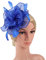 Feder Fascinator Hut für Frauen und Mädchen,Feder Mesh Blumen Stirnband Clip Cocktail Party Tee Kopfbedeckung Braut Haar Clip Hut Hochzeit Haarband Cocktail Tee Party Damen Fasching Kostüm Accessoires