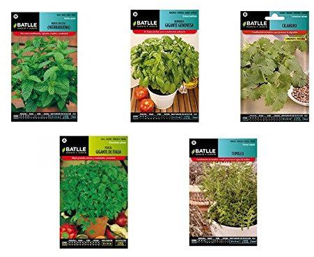 Semillas aromáticas lote 5 sobres (Hierbabuena, Albahaca, Cilantro, Perejil y Tomillo)