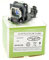 Alda PQ-Premium, Beamerlampe/Ersatzlampe für PANASONIC PT-AE900E Projektoren, Lampe mit Gehäuse