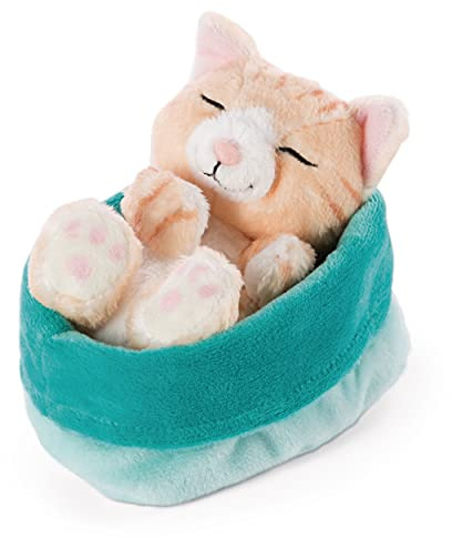 NICI Soft Toy Cat in blue-green basket 16 cm - Sleeping Kitties cuddly toys for Girls, Boys & Babies - Plush stuffed animal cats for playing, cuddling & sleeping with