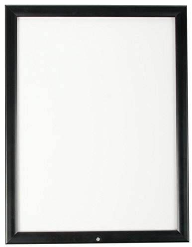Displays2go Outdoor Snap Frame for 18x24-Inch Posters or Advertisements, Locking Enclosure, Rust/Weather Proof, Aluminum