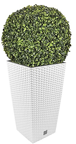 Ensemble de pots Rato 35 litres avec insert 28,7 x 28,7 x 55 cm de couleur blanche + boule de buis diamètre 36 cm