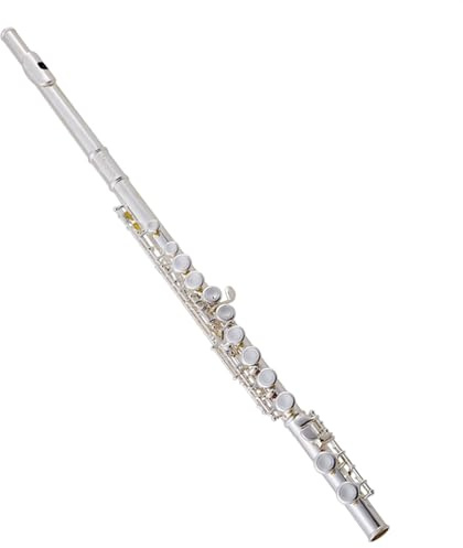 Flauta Instrumental Chapada En Plata, Flauta Travesera De 16 Orificios Cerrados En Tecla C Más Tecla E Para Tocar