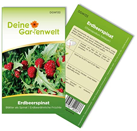 Erdbeerspinat Samen - Chenopodium foliosum - Erdbeerspinatsamen - Gemüsesamen - Saatgut für 200 Pflanzen