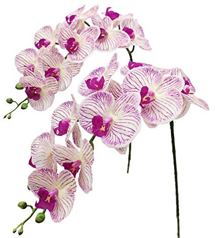 Fnize Faux Orchid Stems Artificial Flowers Phalaenopsis 38 Inch 2pcs Real Touch Latex 9 Large Petals Purple Pattern