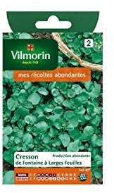Vilmorin - Sachet graines Cresson de fontaine à larges feuilles