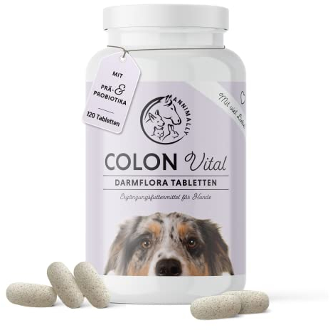 Annimally® Probiotika für Hunde mit 1,5 Mrd. KBE - 120 Tabletten für eine gesunde Darmflora - Darmbakterien zur Darmsanierung & bei Durchfall für den Hund - Immunsystem stärken