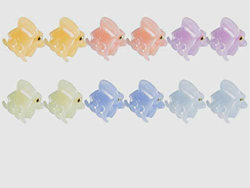 Fermagli per capelli Mini forcine per capelli per ragazze e donne, confezione da 12 (colore misto)