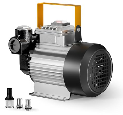 Wiltec Pompe à Fuel Gasoil bio Autoaspirante – 230 V / 550 W / 20-60 l/min – Hauteur d'aspiration max. 20 m – avec Soupape by-pass, Enroulement cuivre et Accessoires