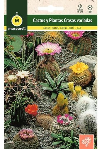 Mascarell - Graines, cactus et plantes grimpantes variées, graines de fleurs d'extérieur pour décoration, 0,1 g