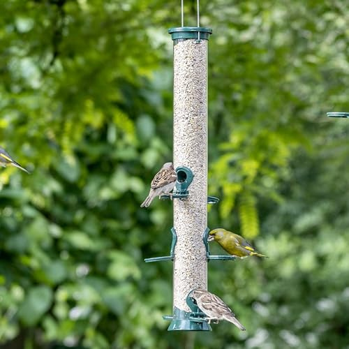 CJ Wildlife Mangeoire Oiseaux Exterieur à Suspendre – Mangeoire Silo pour Oiseaux – Métal Vert – Distributeur Graines Oiseaux – pour Oiseaux Sauvages