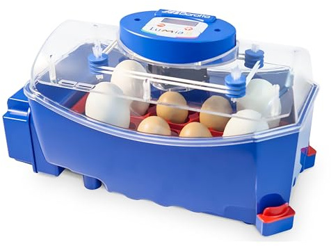 Borotto Lumia 8 | Incubadora de Huevos Automática Profesional Patentada para 8 Huevos o 32 Pequeños con Volteador de Huevos Automático y Control de Temperatura | Made in Italy