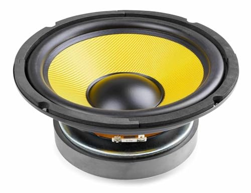 FENTON WK20 Altavoz Woofer de 20 cm / 8 Pulgadas, con Cono Kevlar, 500 Vatios, 250 Vatios RMS, Impedancia 8 Ohmios, Recambio Altavoz Coche, Repuesto Woofer para Altavoz Hi-Fi