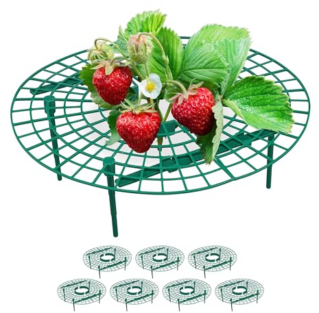 Relaxdays Set da 8 Anelli di Supporto per Fragole, Sostegno in Plastica per Piante da Orto, Rete Anti Muffa, Verde, HxD: 10 x 30 cm