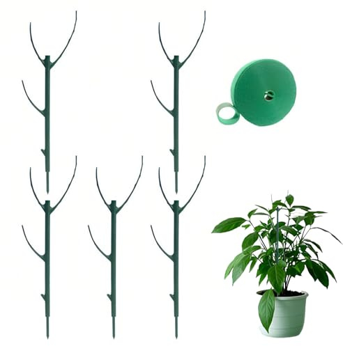 supporto per piante,pali per piantes rampicanti in vaso,Pothos,viti.