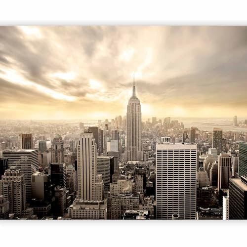 murando Fotomurales Nueva York 350x256 cm XXL Papel pintado tejido no tejido Decoración de Pared decorativos Murales moderna de Diseno Fotográfico New York - 100404-2