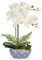 Hollyone Künstliche Orchideen Weiß Phalaenopsis Kunstpflanze Deko Orchidee Kunstblumen im Keramiktopf mit Real Touch Blüten Gefälschte Orchideen Künstliche Bonsai für Hotel Wohnzimmer Büro Deko