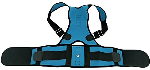 OAQZGBVK Back Brace Lumbar Support Belt Posture Corrector for Women Men Physical Therapy Waist Trainer Wrap Pain Relief Arthritis Sciatica Scoliosis (Size : 6XL) (Medium) (XXX)