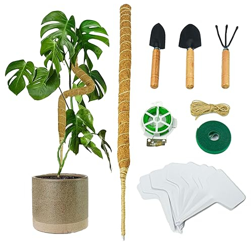 Kikuo Tuteur Plante, 2 Pièces 60cm Tuteurs de Plantes Pliables, Support Plante Grimpante Tuteur Coco, Plantes Poteaux en Mousse Sphaigne Fait à la Main pour Fixation de Croissance des Plantes